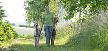 Anne Knein geht mit 2 Alpakas über einen Feldweg zwischen grünen Bäumen.